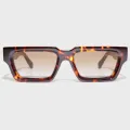 oem odm customized acetate sunglasses kas 102 1